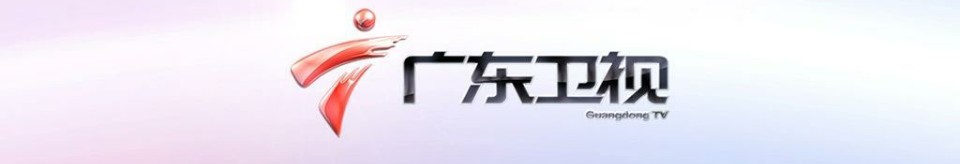 广东卫视电视收视率